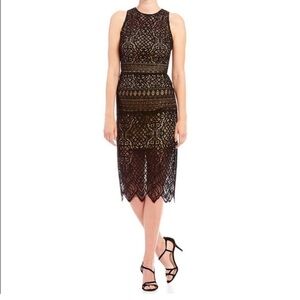 Tadashi Shoji Petite Scalloped Black Lace Midi Dress Size 10P Cocktail Wedding